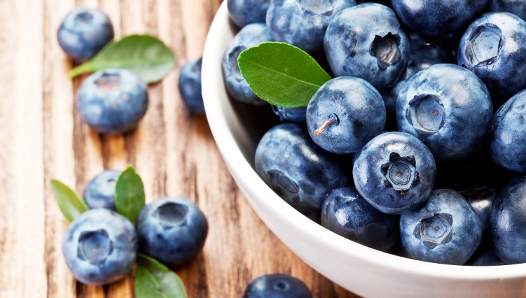 Blueberry Can Prevent Senile To Overcome White Hair Massapedia