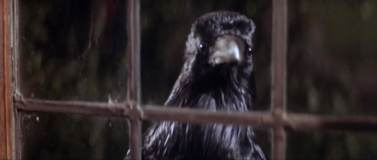 вороны кадры. вороны эксплод манга. третий открывок из фильма "ворон. вороны: начало фильм 2007. песня из кинофильма вороны.