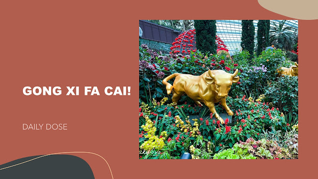 Gong Xi Fa Cai! 