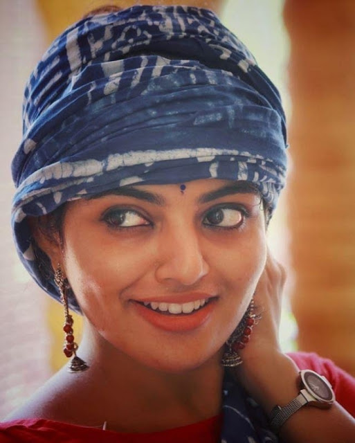 Mallu Actress Nikhila Vimal Latest Photos Stills 18