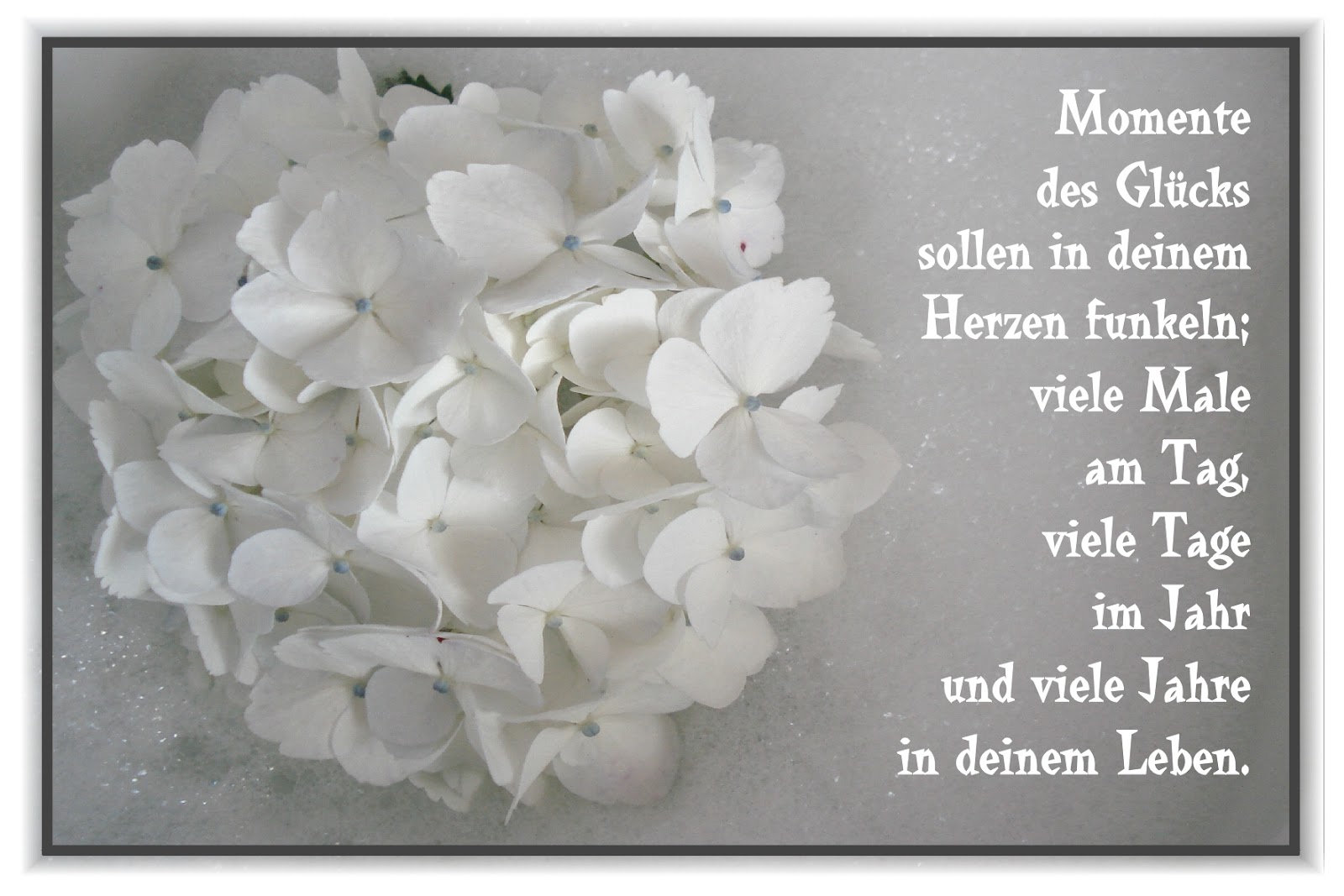 PPOCarddesign Juli 2012