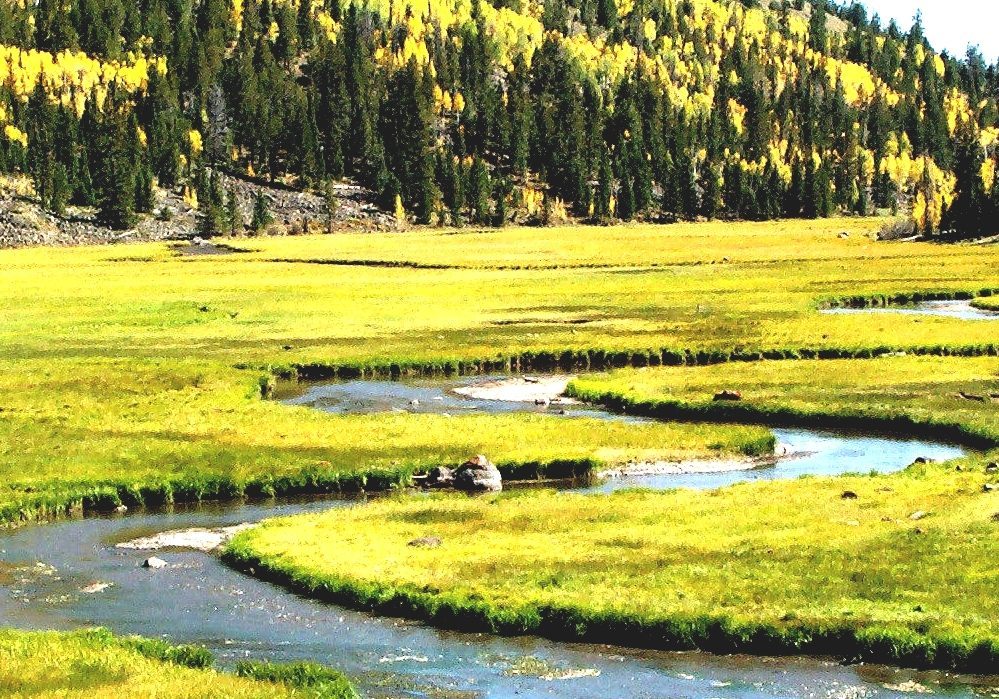 Fishlake National Forest Fish Lake In