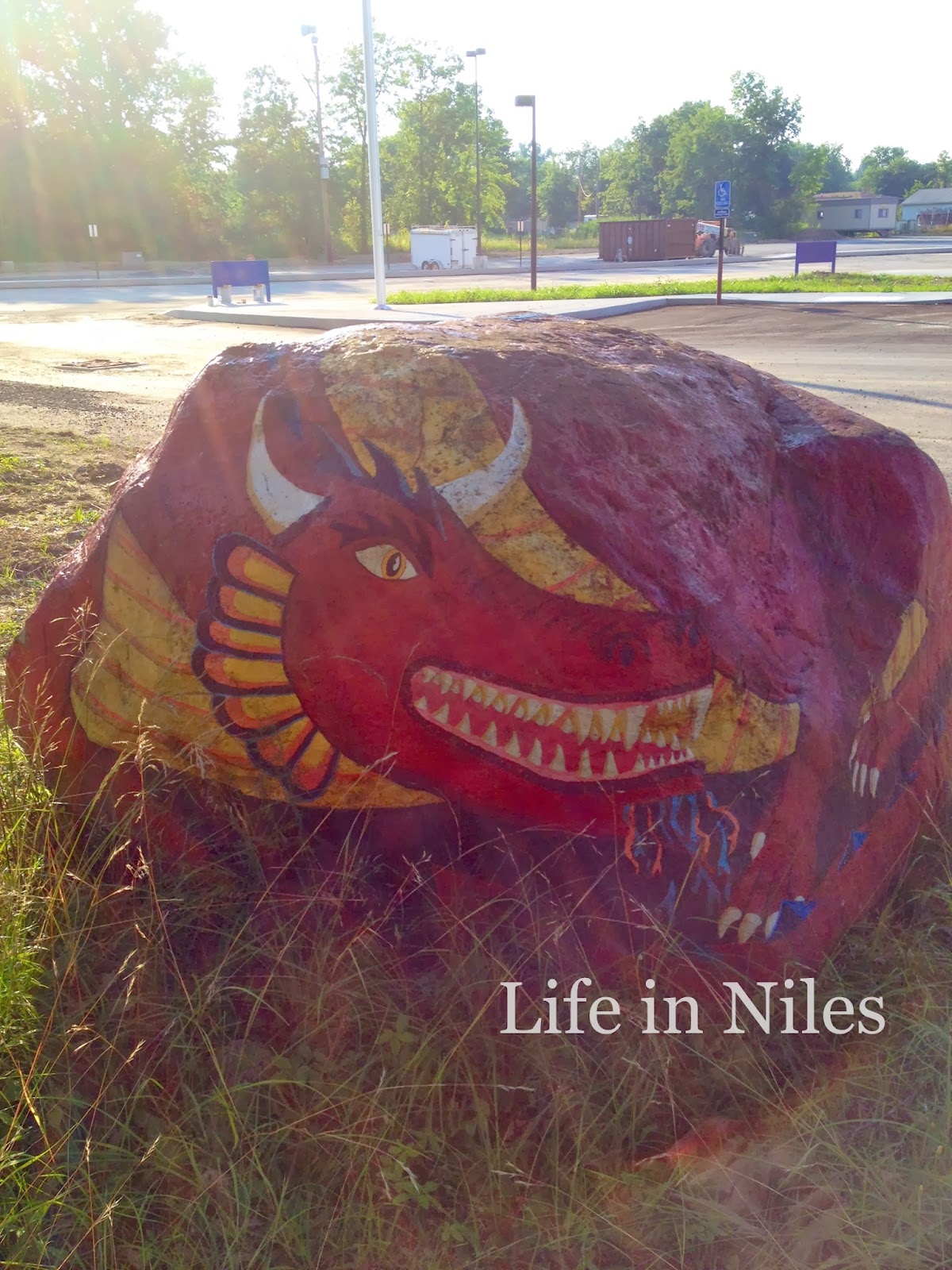 [bearded-dragon-rock-cave-image]