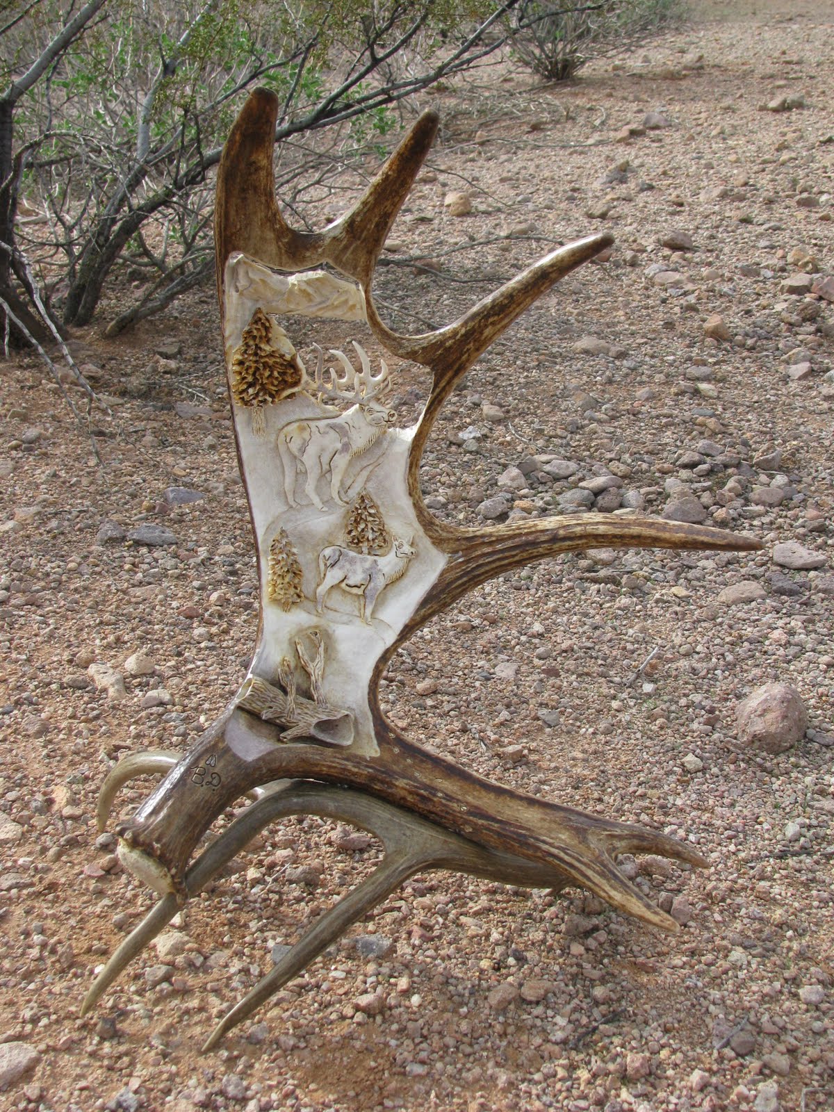 CALL OF THE WILD Moose Horn Carvings