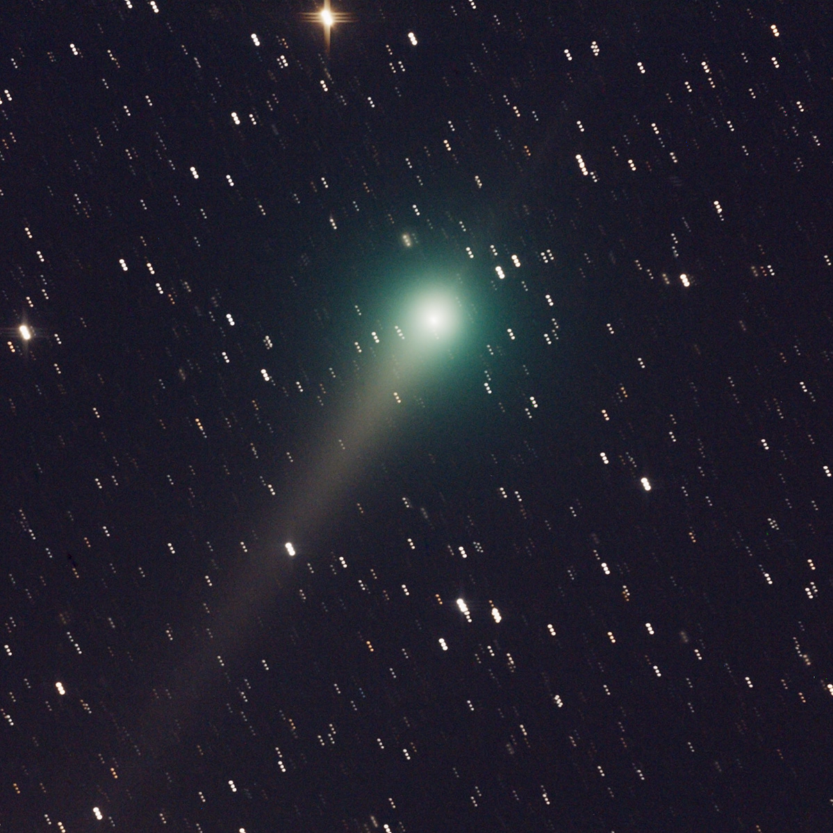 Где можно увидеть комету сегодня. Зелёная Комета в Новокузнецке. Зеленая Комета в небе. Зеленое свечение кометы. Зелёная Комета пролетела.