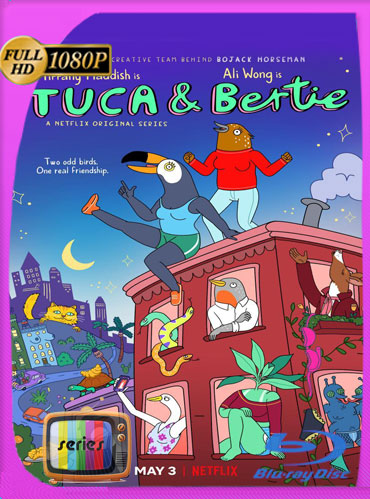 Tuca & Bertie (2019) Temporada 1 HD [1080p] Latino Trial [GoogleDrive] ​TeslavoHD