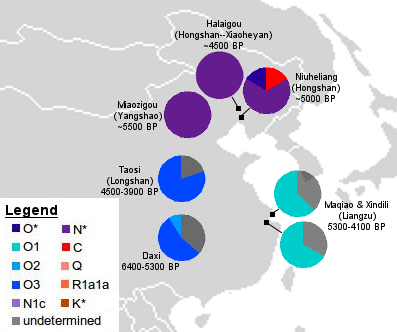 East Asian Dna 61