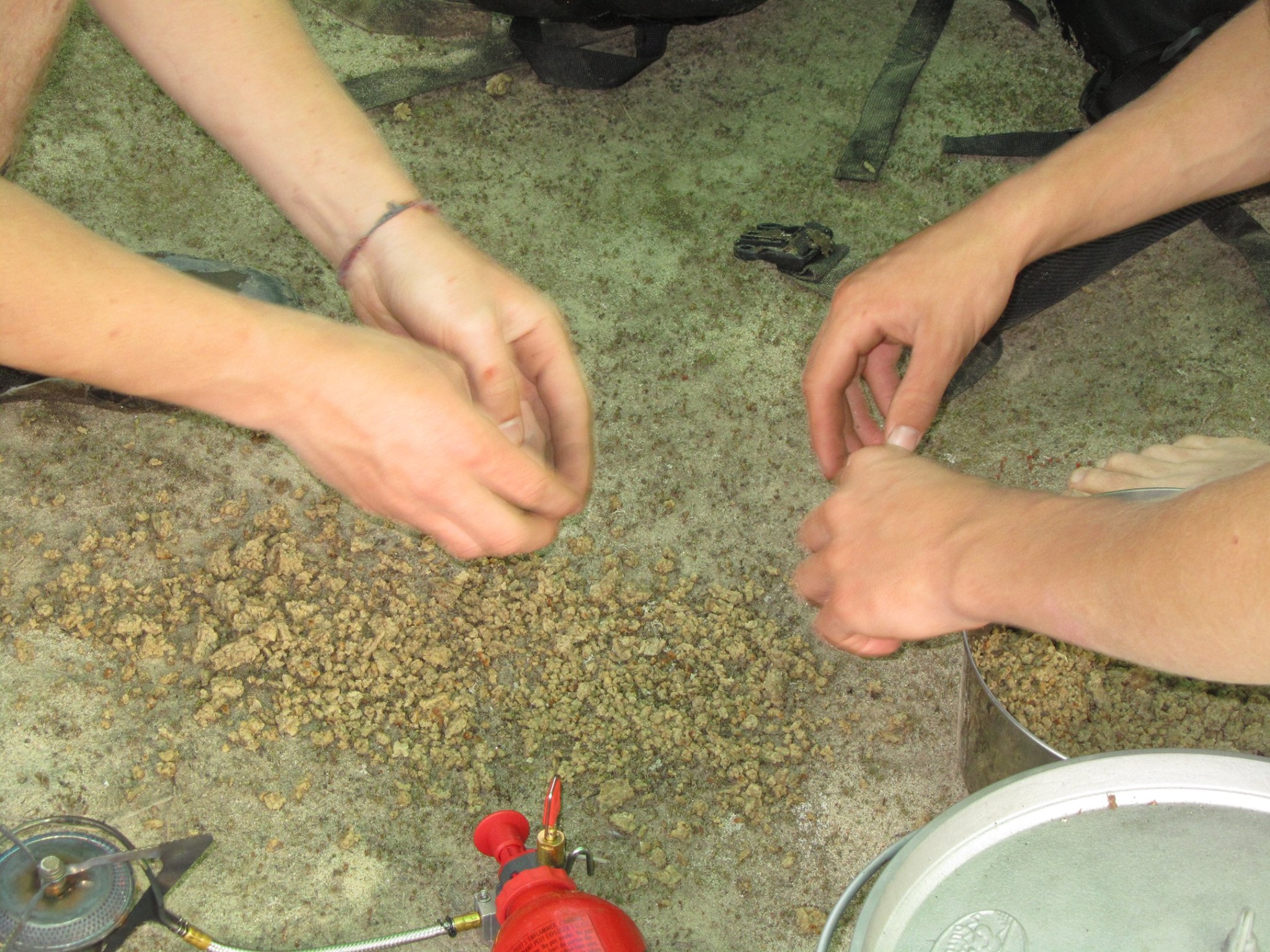 Dehydrating Raw Ground Beef, Meat, Chicken in Oven for Canoe Tripping