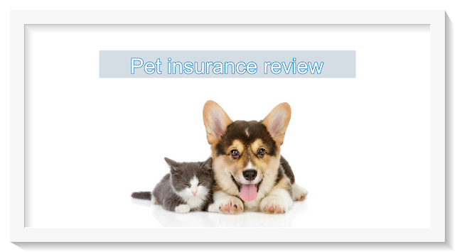 Pet insurance review