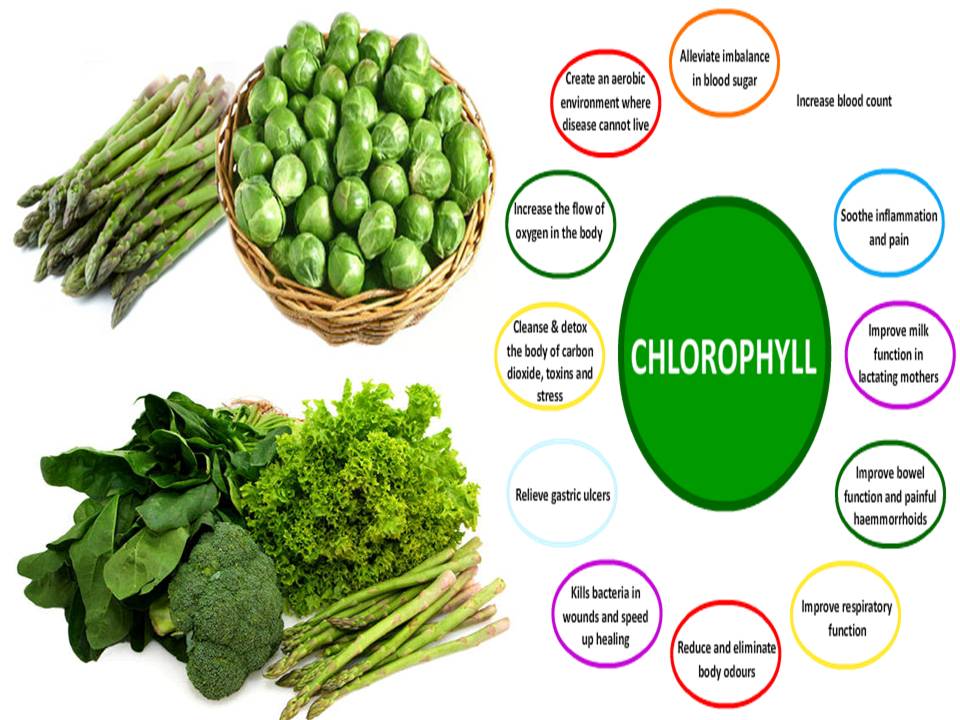 AIM GLOBAL HEALTHY LIVING TIPS & MAKING MONEY ONLINE 10 Amazing