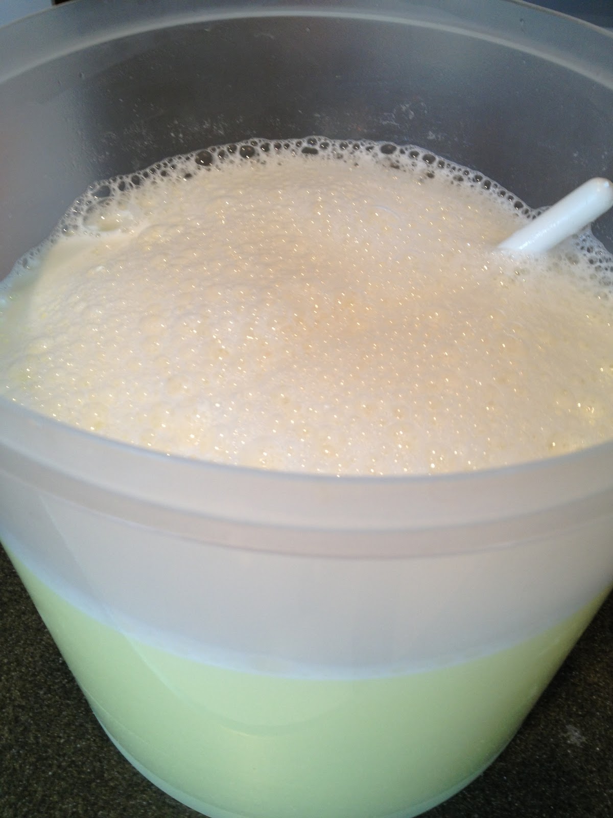 Baking Soda Laundry Detergent Model Harstely