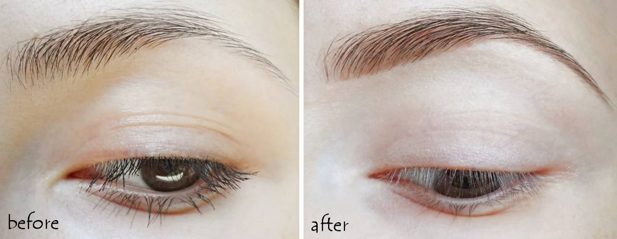 model in a bottle eyebrow product review and before after pictures by blogger