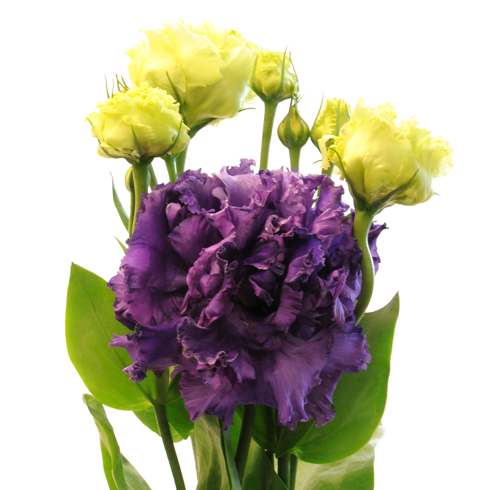 Wedding Blue And Purple Flowers Allaboutweddingplanning