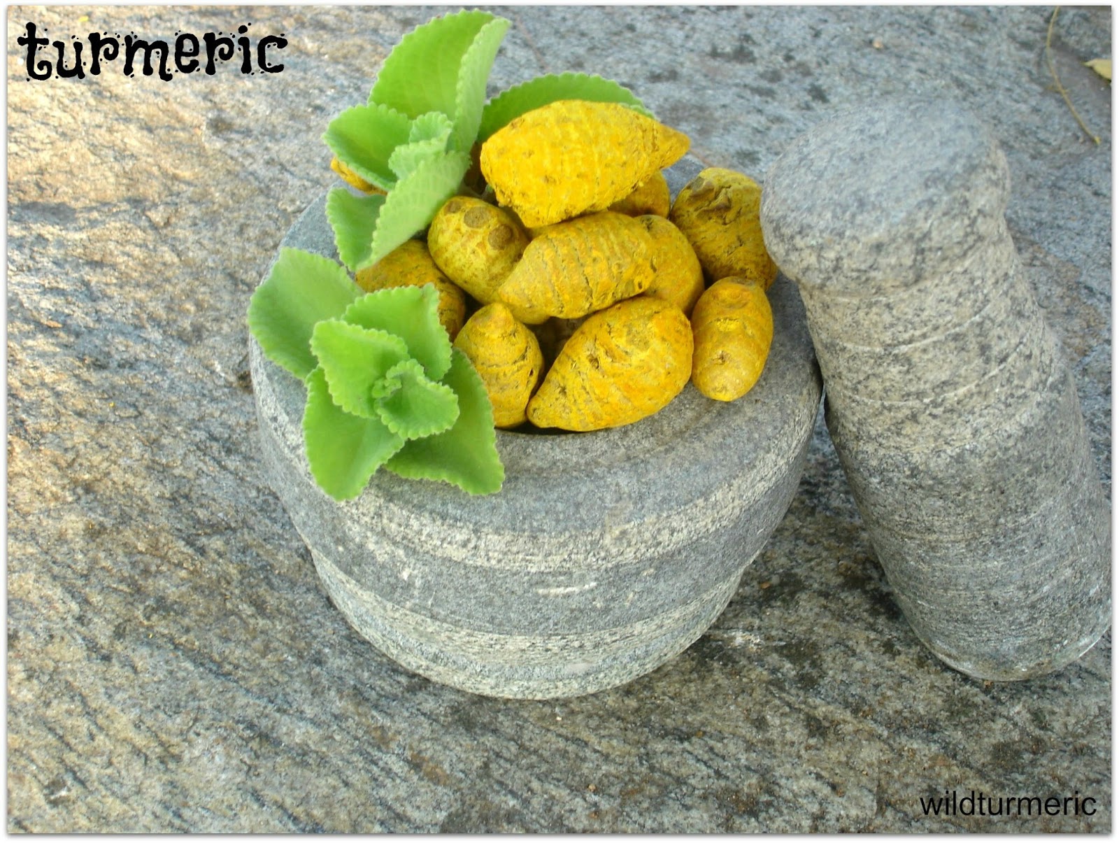 8 Serious Side Effects Of Turmeric We Should Know ! Wildturmeric