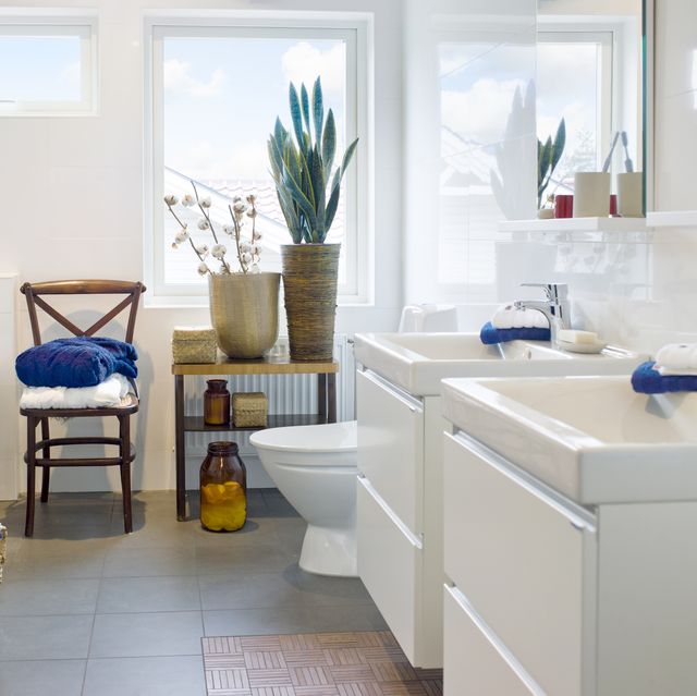 Bathroom%2Bindoor%2Bplant%2Bdesigns%2B%25287%2529