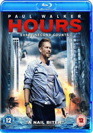 Hours 2013 BluRay 300Mb Hindi Dubbed Dual Audio 480p
