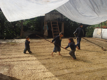 4 of the 5 nieces/nephews in the coffee drying patio