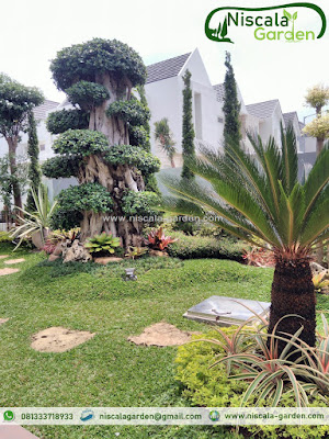 tukang taman surabaya