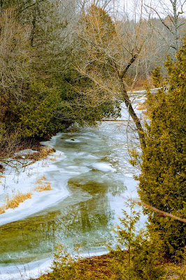 View of Little Rouge River in Bob Hunter Memorial Park