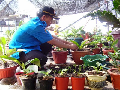 Macam Macam Usaha Rumahan  Agribisnis Modal Kecil Peluang 