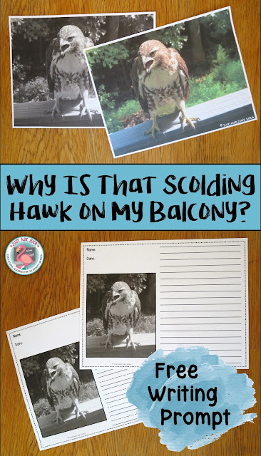 A FREE photo writing prompt about a hawk's visit to my balcony for first, second, and third graders A FREE photo writing prompt about a hawk's visit to my balcony for first, second, and third graders