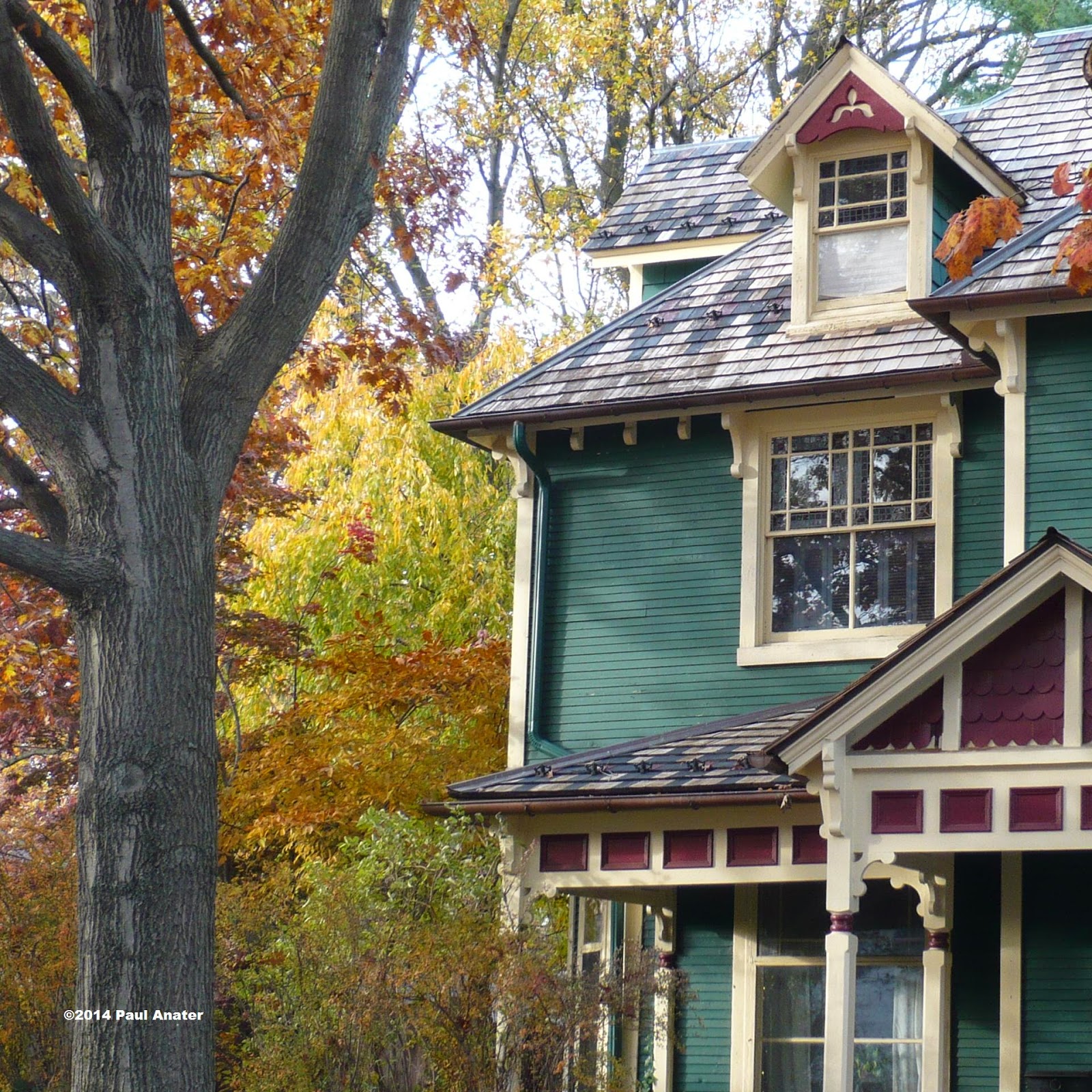 Kitchen and Residential Design Considerations when buying a house