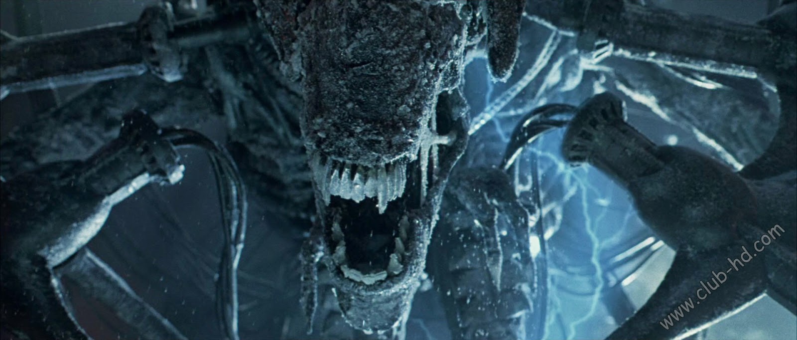 Alien_vs_Predator_UNRATED_CAPTURA-3.jpg