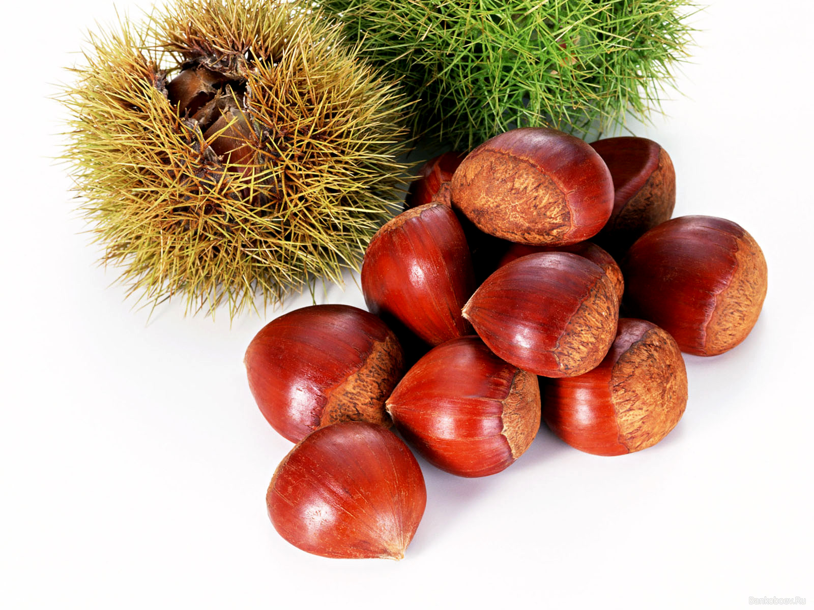 ореховому помощь