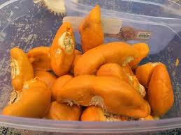 Paku Midin 11 Buah Tempatan Sarawak Yang Harus Anda Kenali