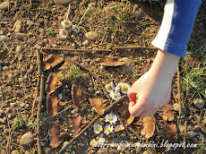 Mandala con la Natura