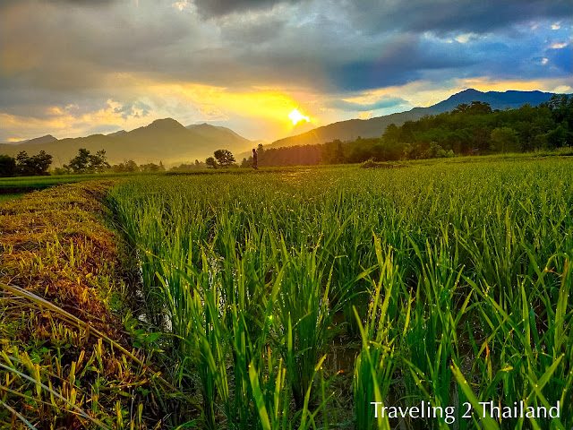 Sunrise over rice field & mountains in Pua, North Thailand Traveling in North Thailand