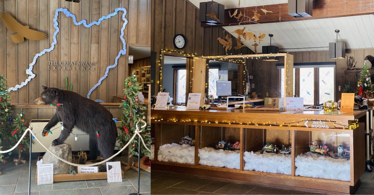 The Festival of Trees in Basking Ridge NJ: 8 Reasons Why You Should ...