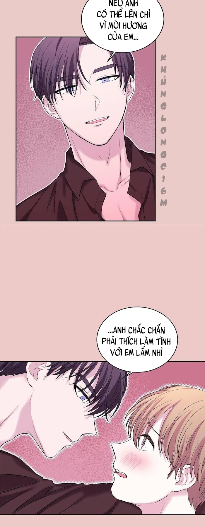 Đọc truyện 10 Đêm Mê Hoặc - Chapter 19