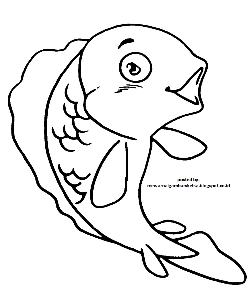 Mewarnai Gambar  Mewarnai Gambar  Sketsa  Hewan  Ikan  1