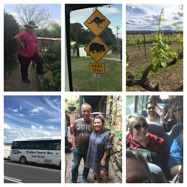 Collage of various people at WBC19 