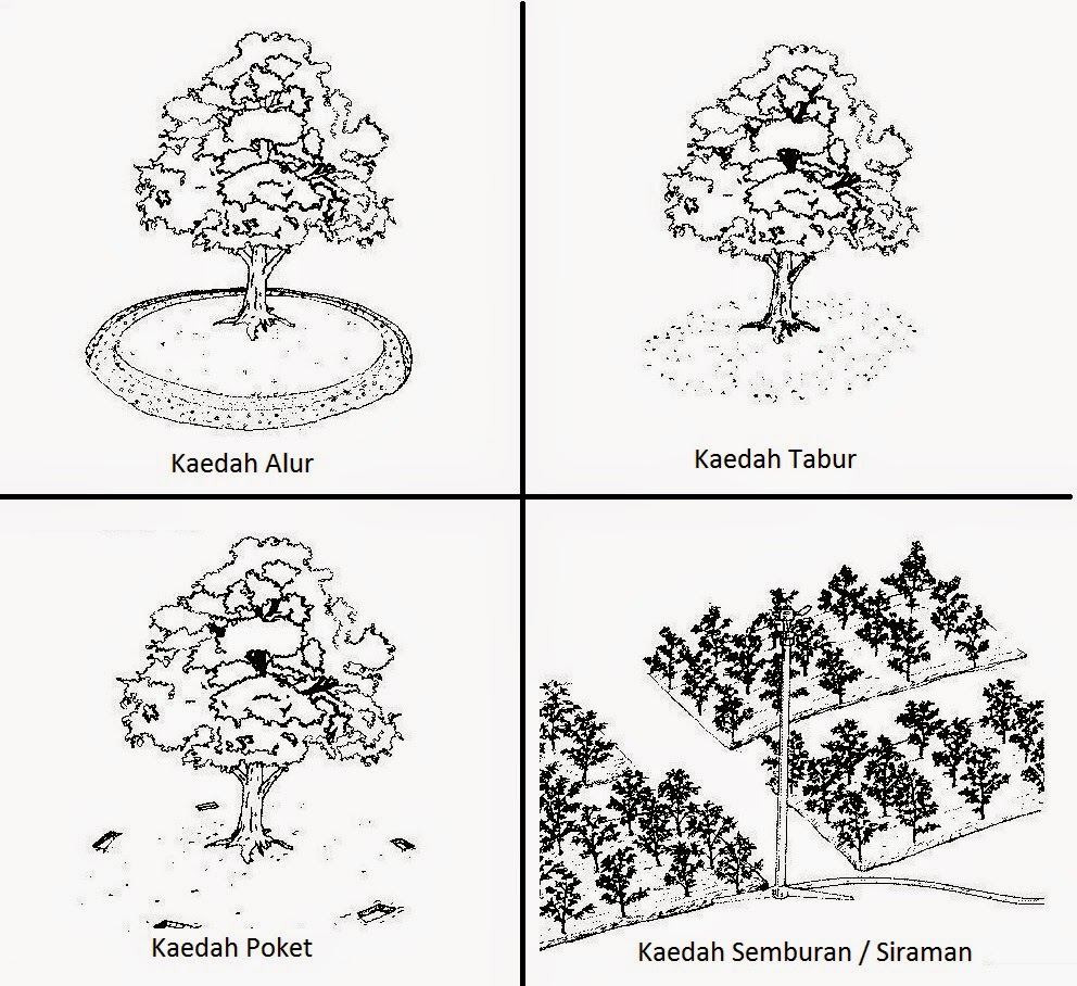 JKD SAINS PERTANIAN PONTIAN: Soalan Pilihan : Kertas 2 Soalan 1 (Bil 6)