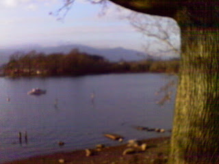 IMAG0038.JPG