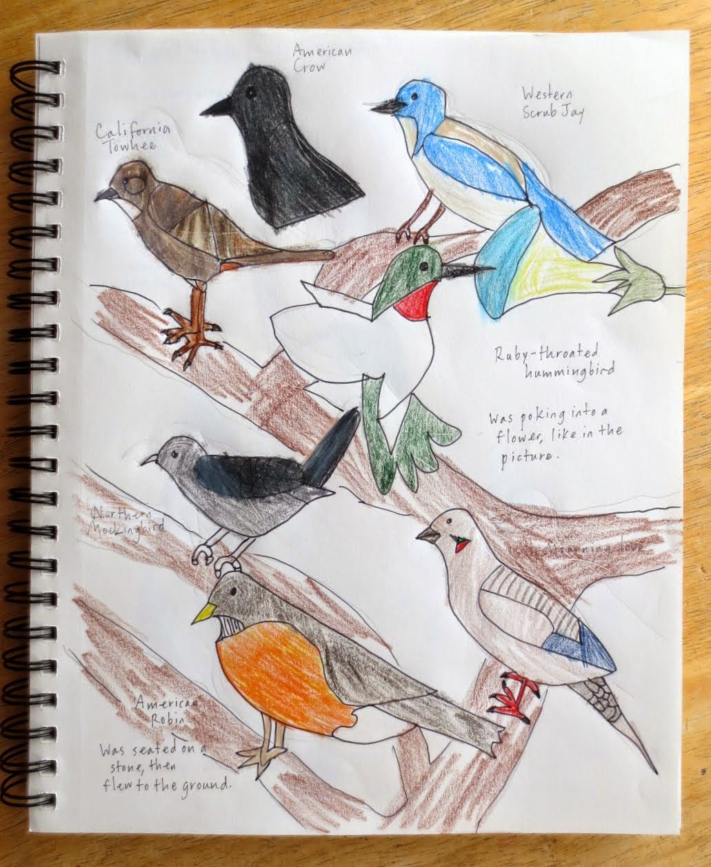 Joyous Lessons: The Living Page :: Nature Journals