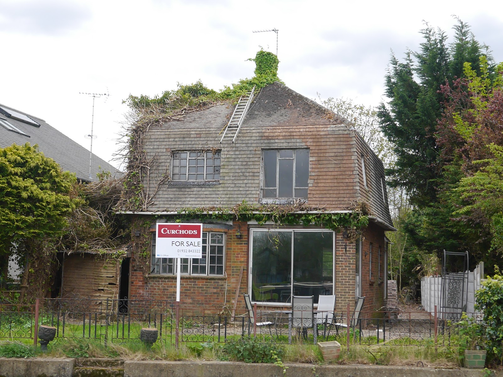 and Millie makes three Thames Court, Shepperton (River Thames