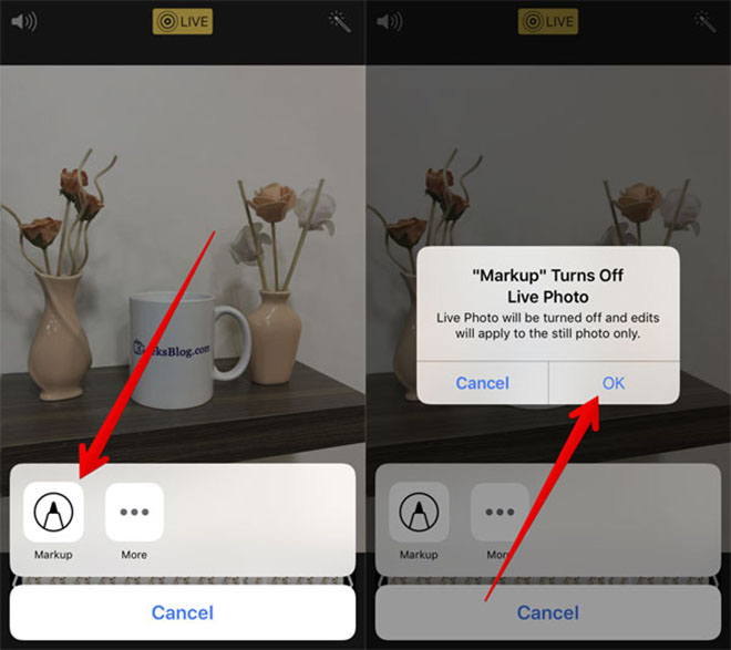 Thủ thuật iOS 11: Tuyệt chiêu "chế biến" ảnh Live Photo trên iPhone - 2