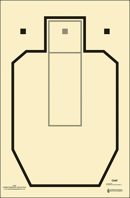 Sensible Self Defense: Practice 2019: CSAT Standards—Where do you stand?