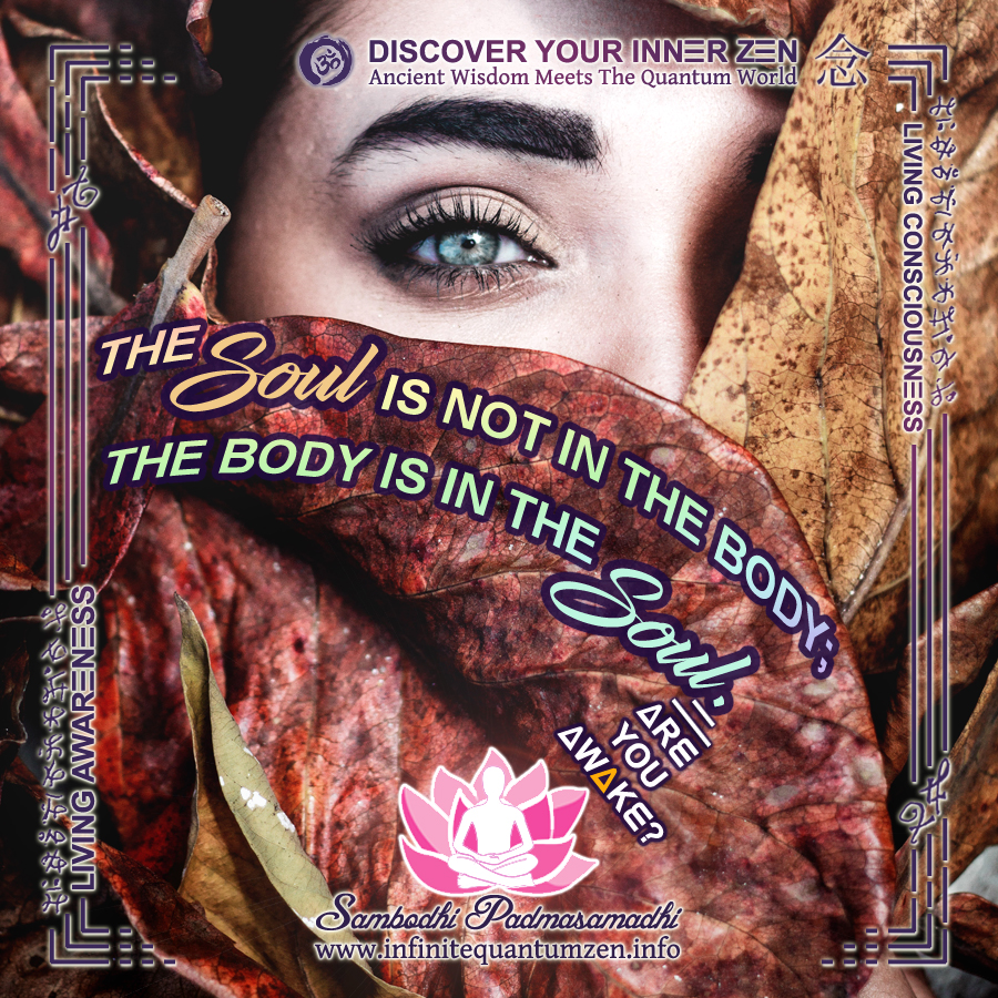 The Soul is not in the body, the body is in the Soul - Infinite Quantum Zen, Success Life Quotes