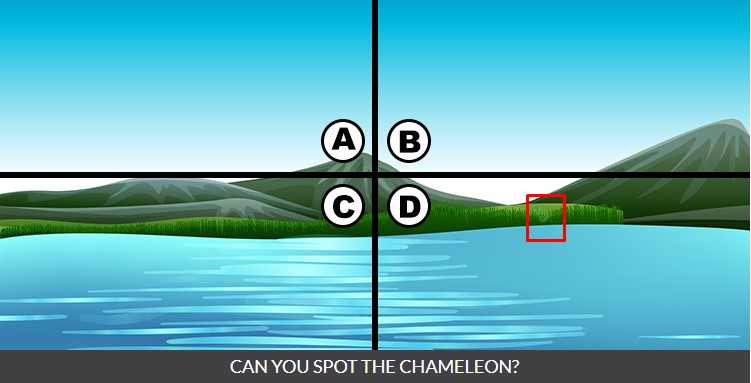 тест хамелеон с ответами