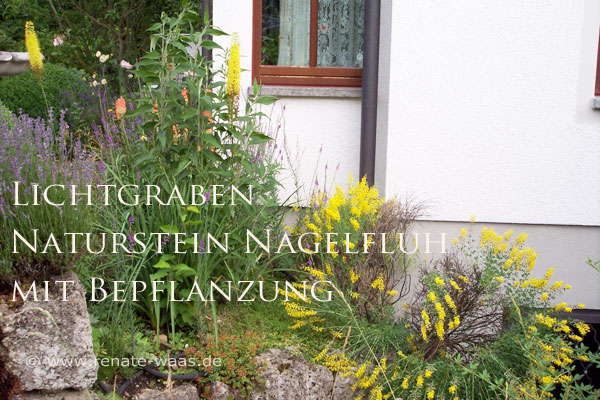 Gartenblog Zu Gartenplanung Gartenberatung Gartendesign Und