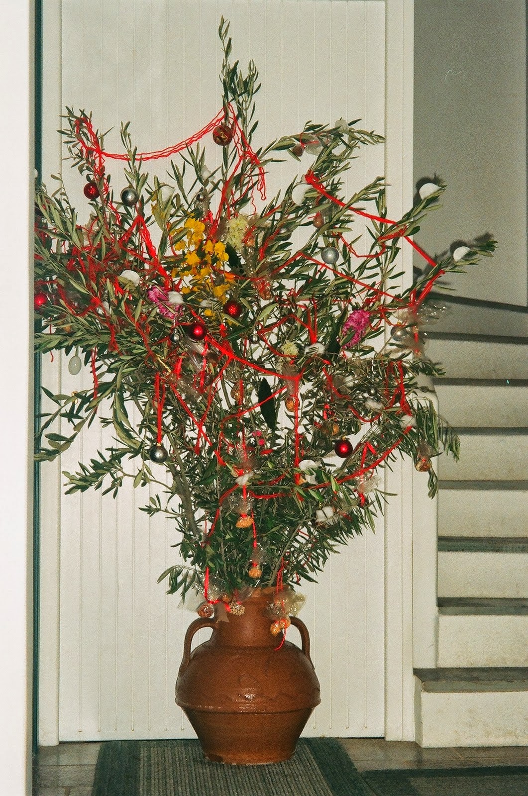 Origins of the christmas tree pagan