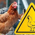 На Тернопільщині намагаються не допустити поширення пташиного грипу