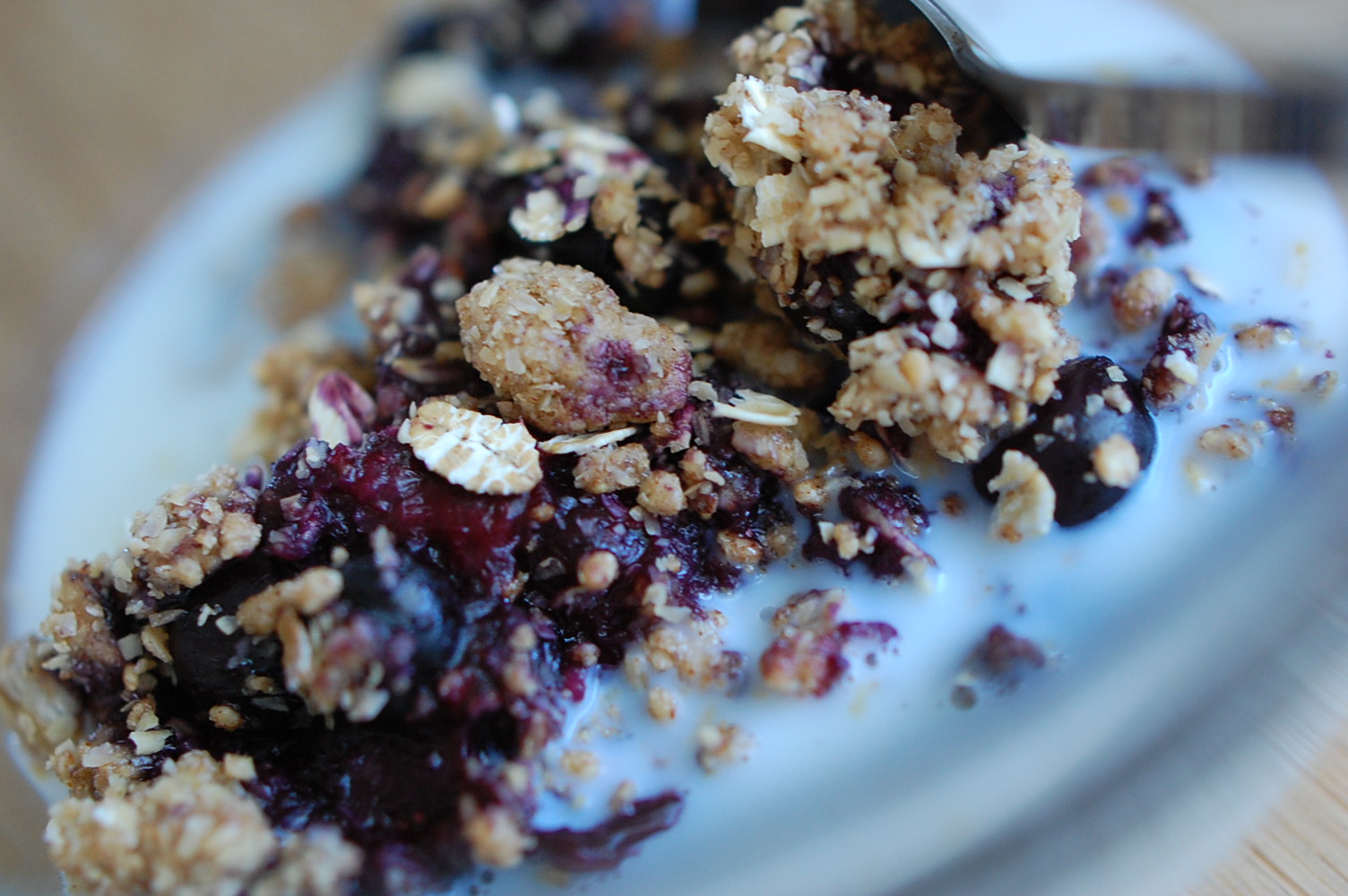 Food, Fun & Life Blueberry Breakfast Crumble