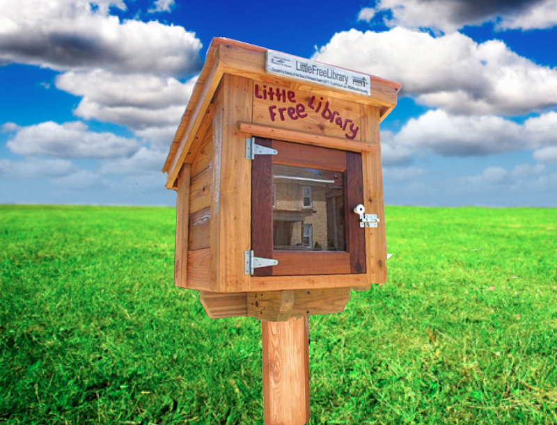 The Little Library, free community library, box