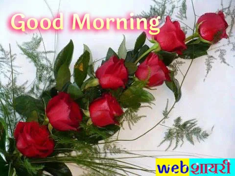 good morning pink rose,good morning pic with love and rose,