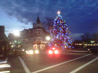 ridgewoodtree3 theridgewoodblog.net